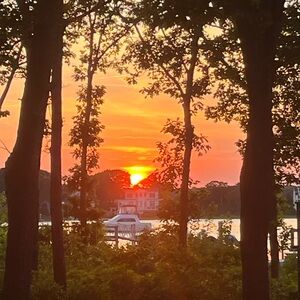 Meet your Posher, Avery!